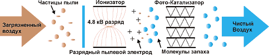 фильтр ПЛАЗМА LG